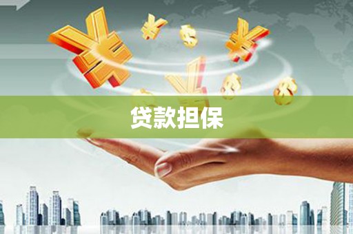 壮围贷款担保