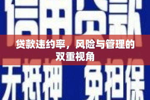 固阳贷款违约率，风险与管理的双重视角