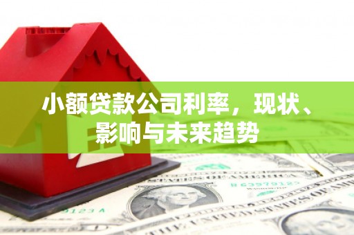 郊区小额贷款公司利率，现状、影响与未来趋势