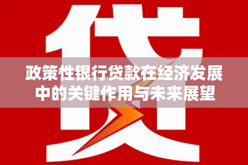 宣威政策性银行贷款在经济发展中的关键作用与未来展望
