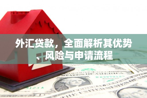 米林外汇贷款，全面解析其优势、风险与申请流程