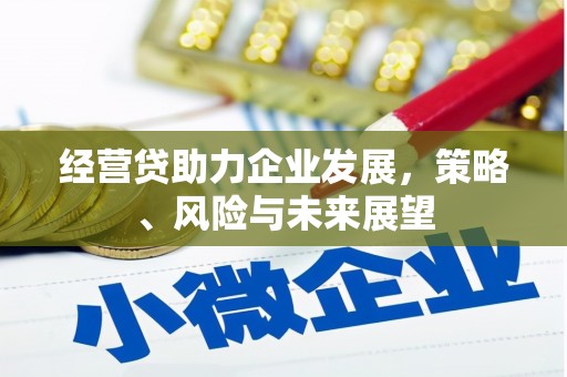 德宏经营贷助力企业发展，策略、风险与未来展望