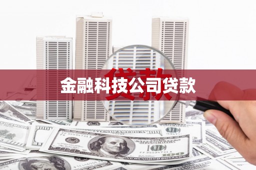 岳麓金融科技公司贷款