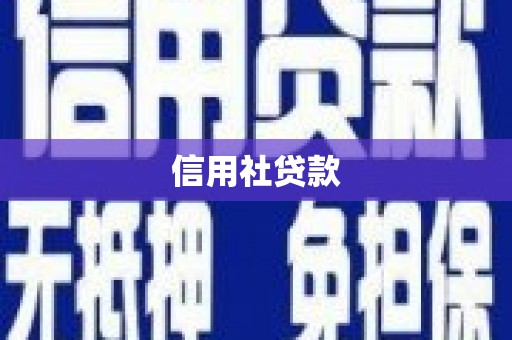 雅江信用社贷款
