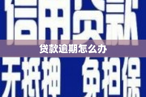 叶县贷款逾期怎么办