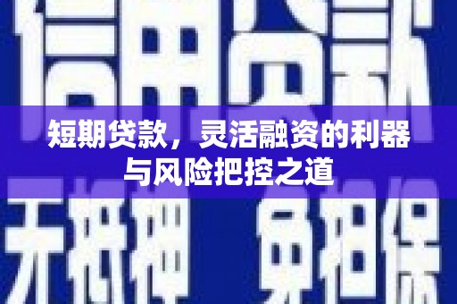 宣汉短期贷款，灵活融资的利器与风险把控之道