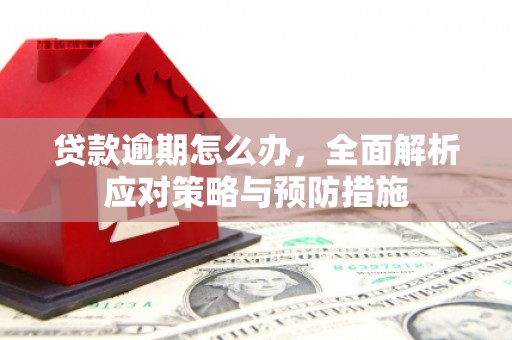 鹿泉贷款逾期怎么办，全面解析应对策略与预防措施