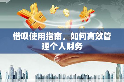 抚远借呗使用指南，如何高效管理个人财务