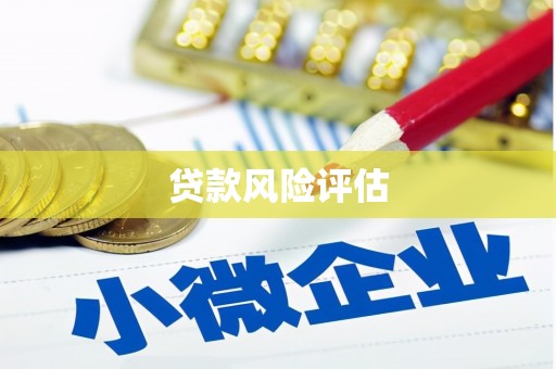 靖州贷款风险评估