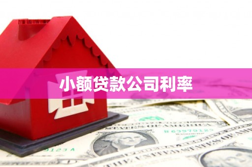大甲小额贷款公司利率