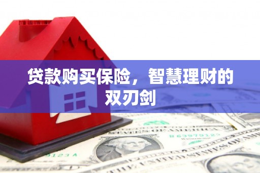 雨城贷款购买保险，智慧理财的双刃剑