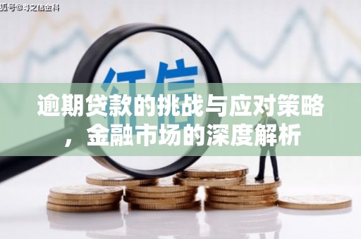 岳塘逾期贷款的挑战与应对策略，金融市场的深度解析