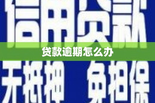 旌德贷款逾期怎么办