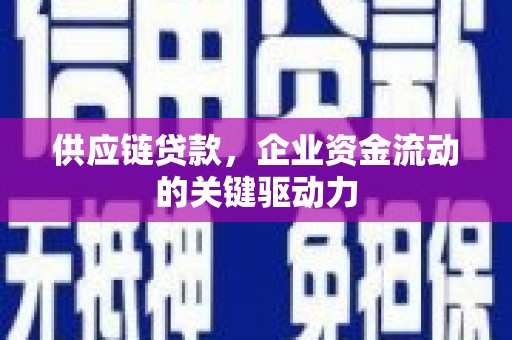 巴青供应链贷款，企业资金流动的关键驱动力