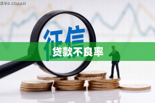 宁都贷款不良率