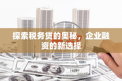 观塘探索税务贷的奥秘，企业融资的新选择