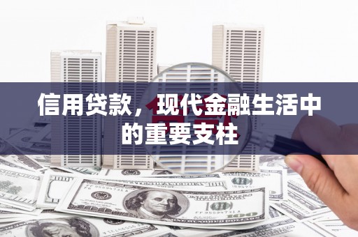 平舆信用贷款，现代金融生活中的重要支柱