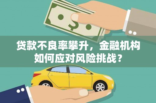 二林贷款不良率攀升，金融机构如何应对风险挑战？