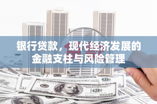 东西湖银行贷款，现代经济发展的金融支柱与风险管理