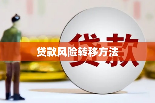 上林贷款风险转移方法 上林贷款风险转移方法