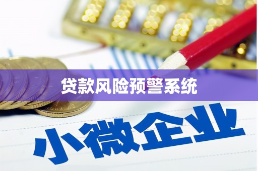 丽水贷款风险预警系统