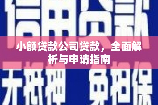 二水小额贷款公司贷款，全面解析与申请指南