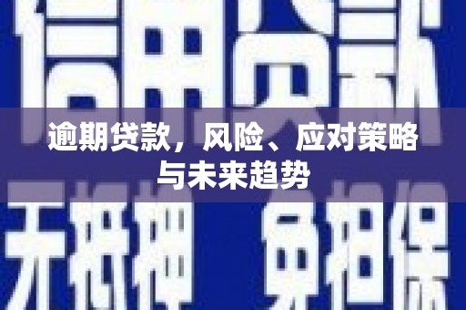 临夏逾期贷款，风险、应对策略与未来趋势