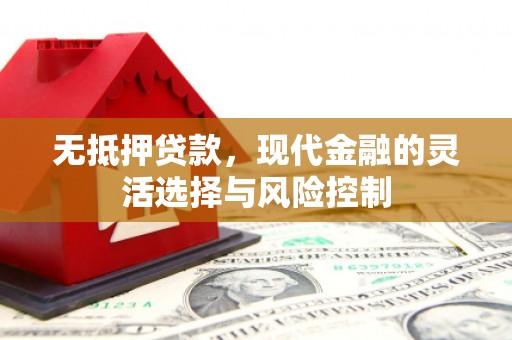 芬园无抵押贷款，现代金融的灵活选择与风险控制
