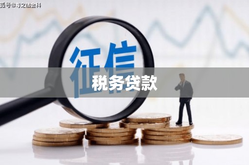 林芝税务贷款