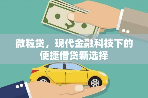 安国微粒贷，现代金融科技下的便捷借贷新选择