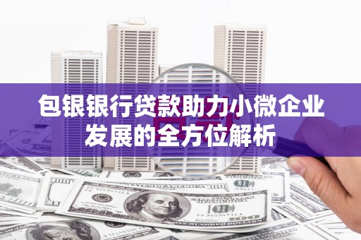 友谊包银银行贷款助力小微企业发展的全方位解析