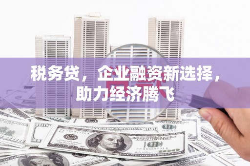 丰滨税务贷，企业融资新选择，助力经济腾飞