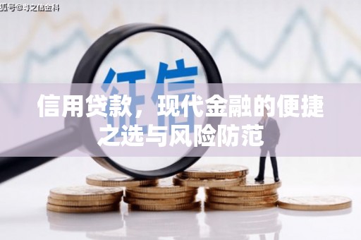 新都信用贷款，现代金融的便捷之选与风险防范