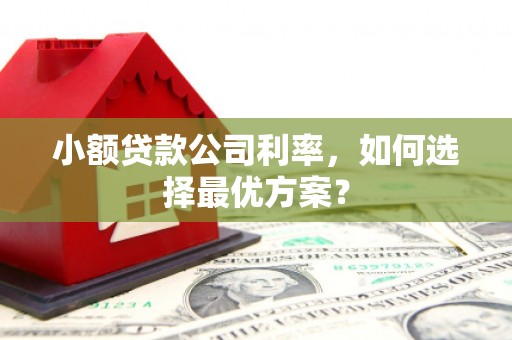 富阳小额贷款公司利率，如何选择最优方案？