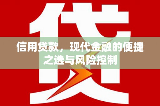 盐津信用贷款，现代金融的便捷之选与风险控制