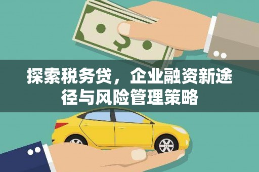 晋江探索税务贷，企业融资新途径与风险管理策略