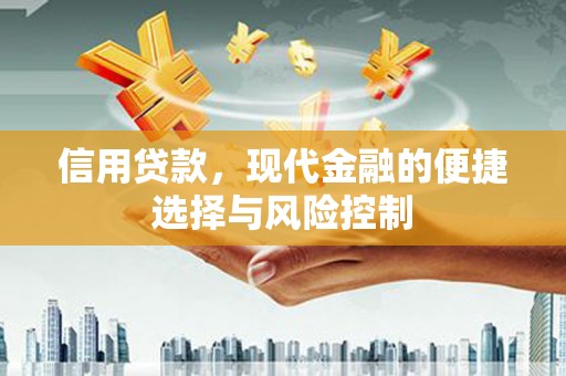 浦口信用贷款，现代金融的便捷选择与风险控制