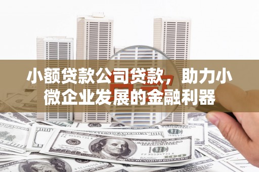 思南小额贷款公司贷款，助力小微企业发展的金融利器