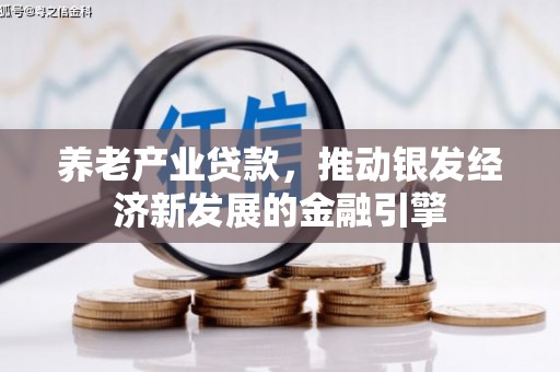 唐县养老产业贷款，推动银发经济新发展的金融引擎