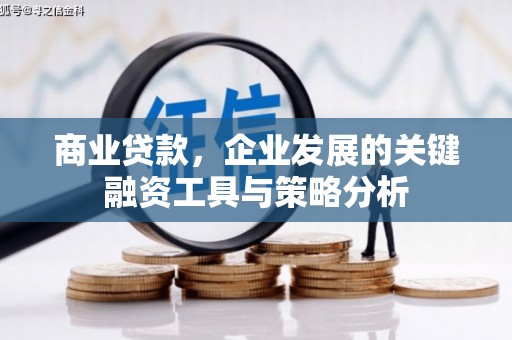 荔城商业贷款，企业发展的关键融资工具与策略分析