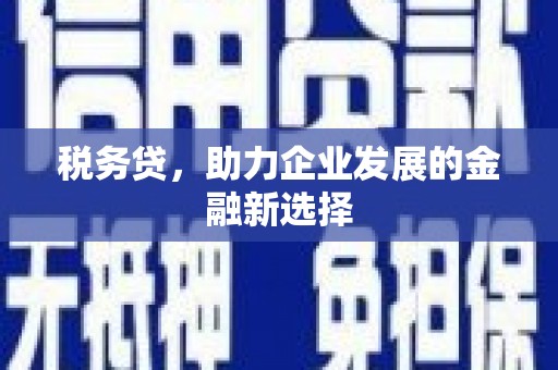 洛扎税务贷，助力企业发展的金融新选择