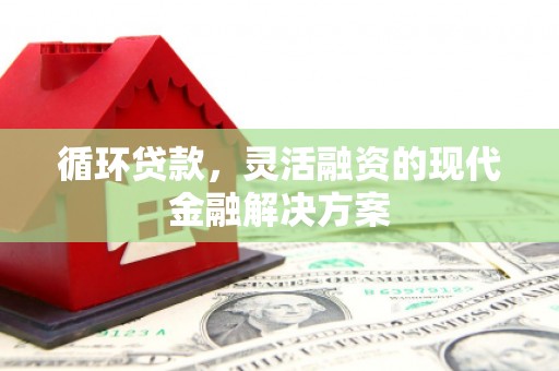 山上循环贷款，灵活融资的现代金融解决方案