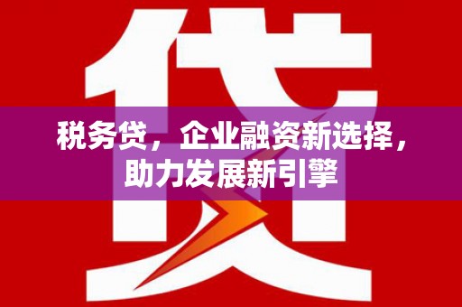 龙文税务贷，企业融资新选择，助力发展新引擎