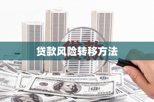 莲都贷款风险转移方法