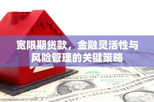 恒山宽限期贷款，金融灵活性与风险管理的关键策略