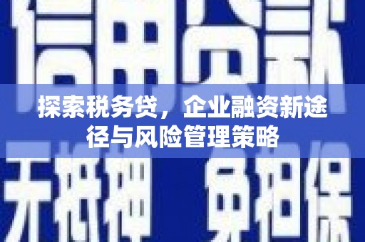 正镶白旗探索税务贷，企业融资新途径与风险管理策略