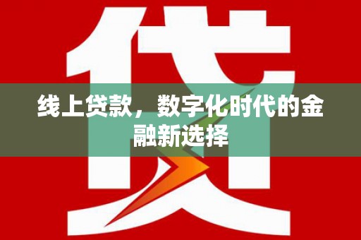 金湖线上贷款，数字化时代的金融新选择