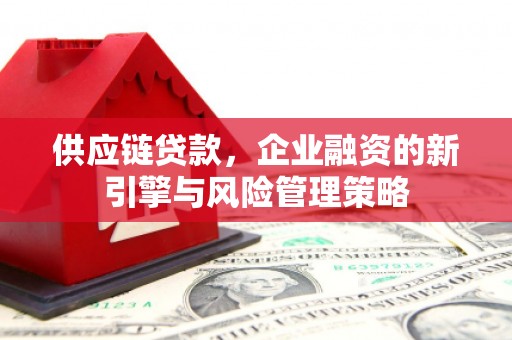 南岳供应链贷款，企业融资的新引擎与风险管理策略