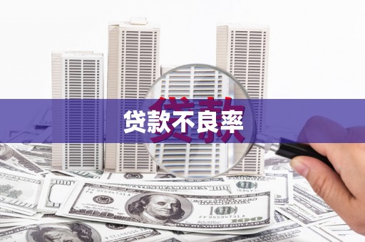 林州贷款不良率