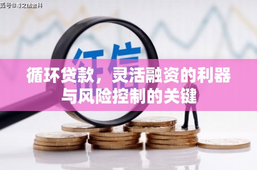安溪循环贷款，灵活融资的利器与风险控制的关键